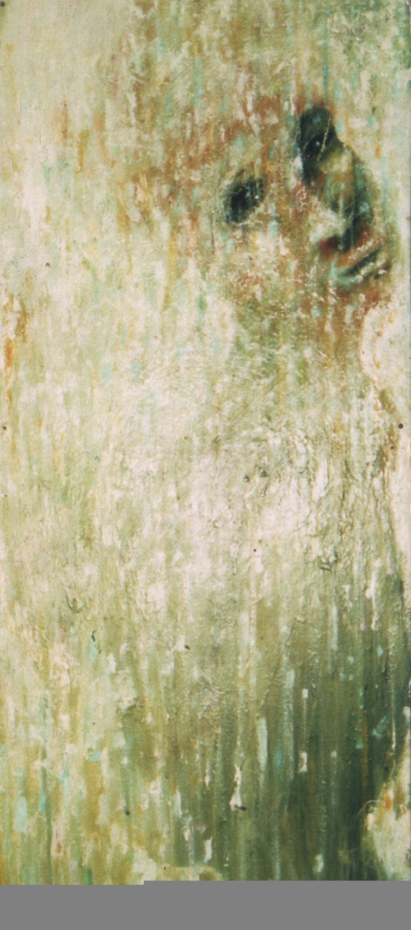 Isha Black 1994 Rainboy